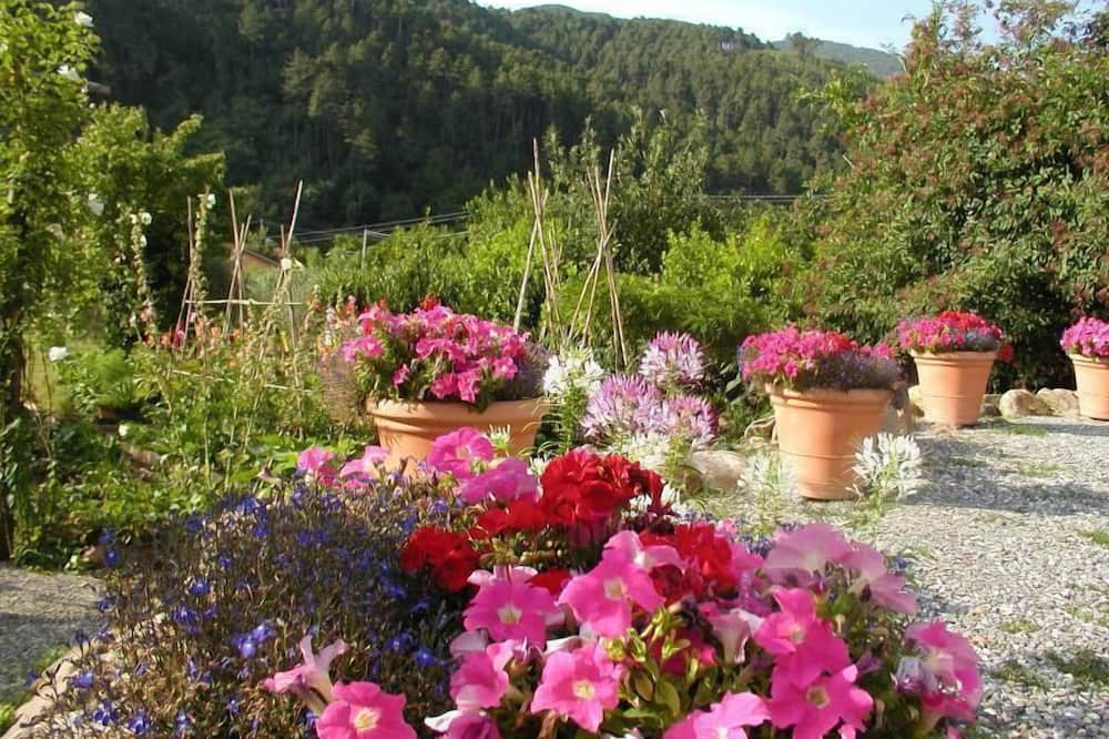 Photo of Outdoor in Sant'Andrea di Compito