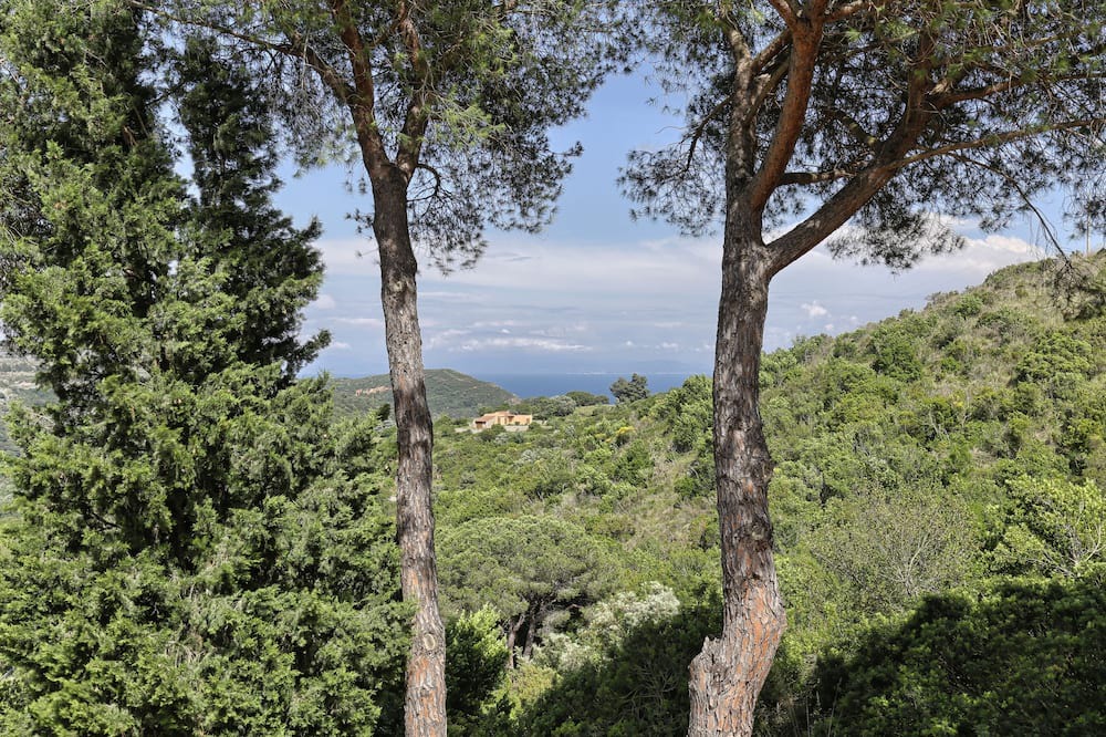 Photo of Outdoor in Rio nell'Elba