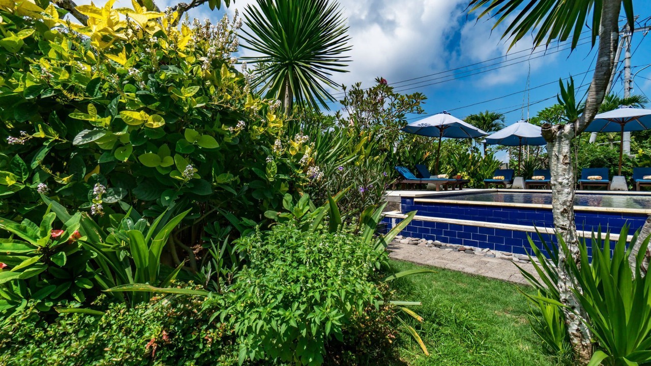 Photo of Outdoor in Mushroom Bay
