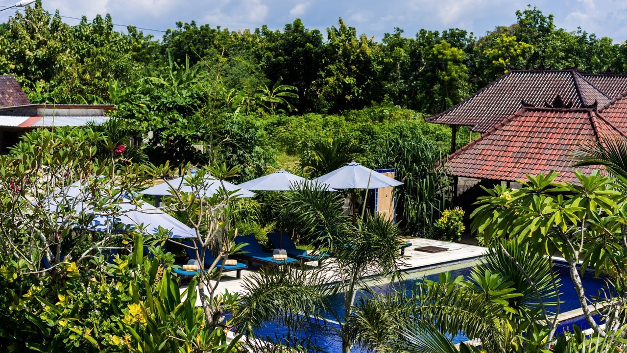 Photo of Outdoor in Mushroom Bay