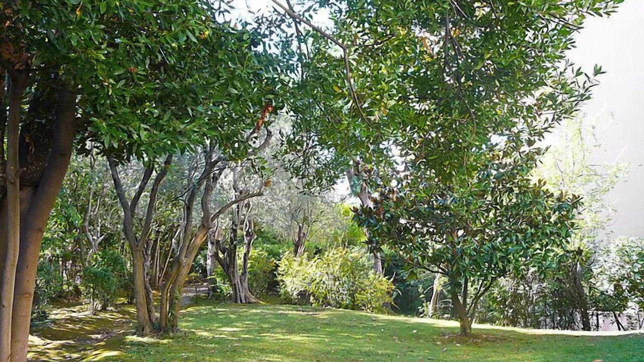 Photo of Outdoor in California - Pezou