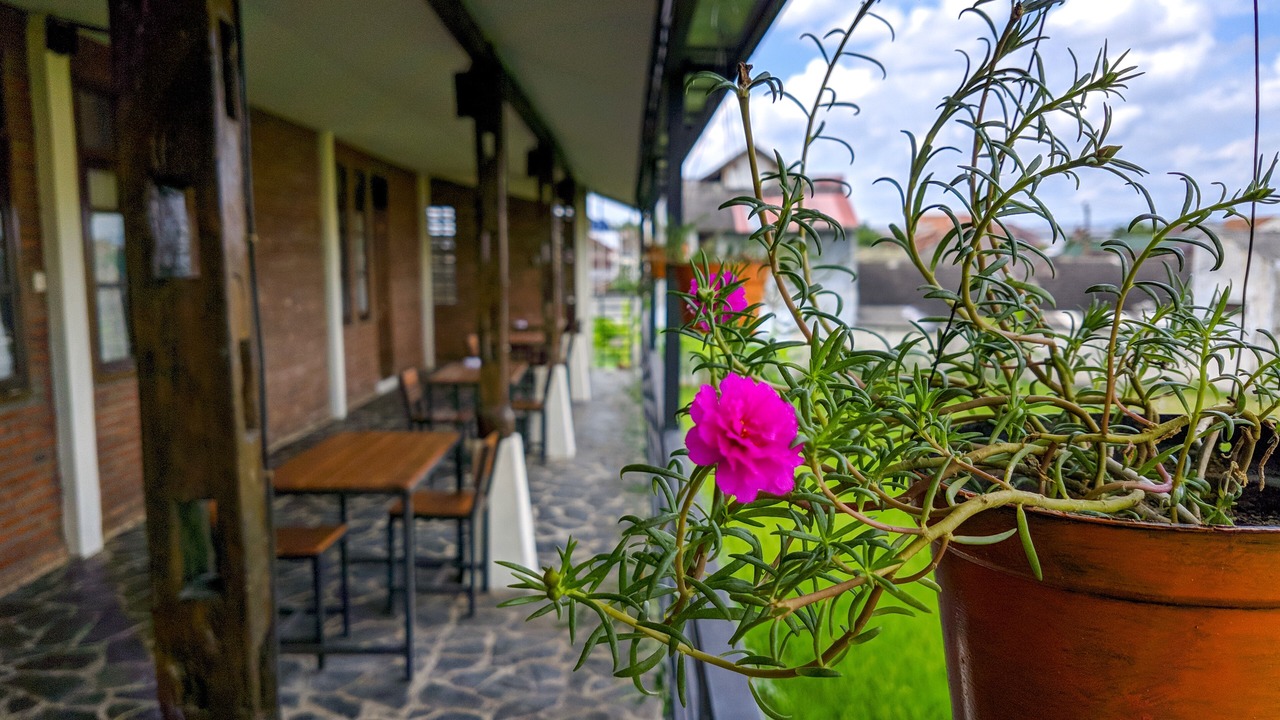 Photo of Outdoor in Sewon