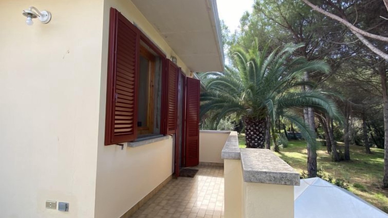 Photo of Outdoor in Mazzanta