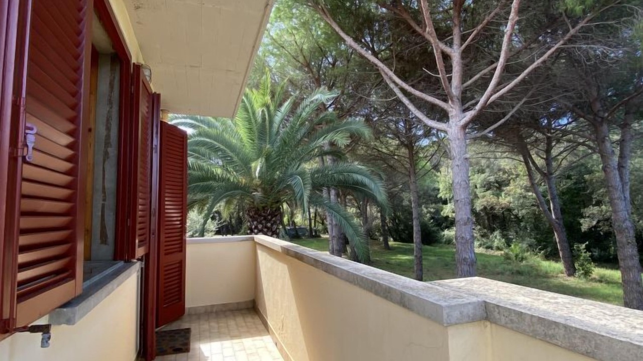 Photo of Outdoor in Mazzanta