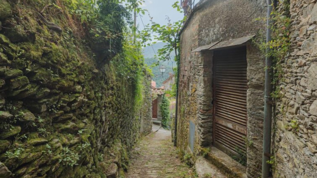 Photo of Outdoor in Stazzema