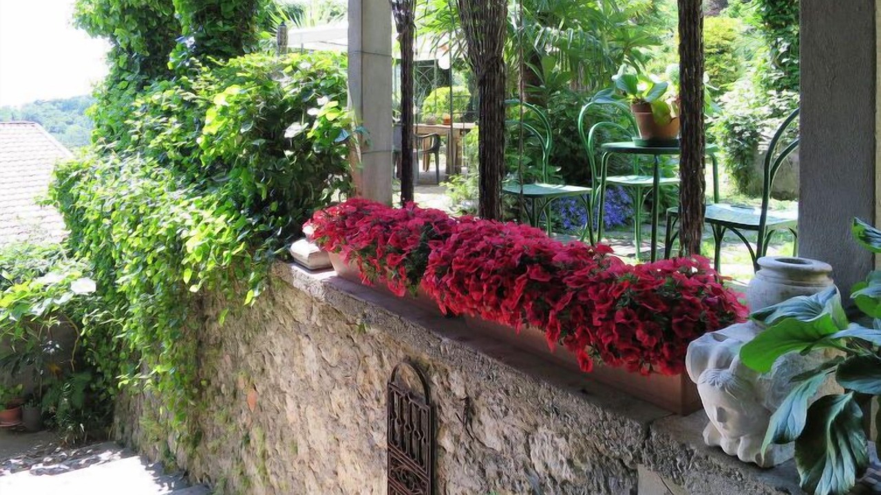 Photo of Outdoor in Vito d'Asio