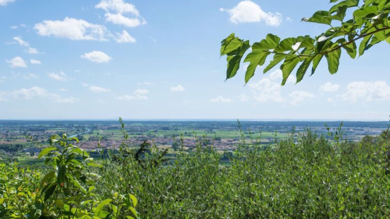 Photo of Others in Vecchiano