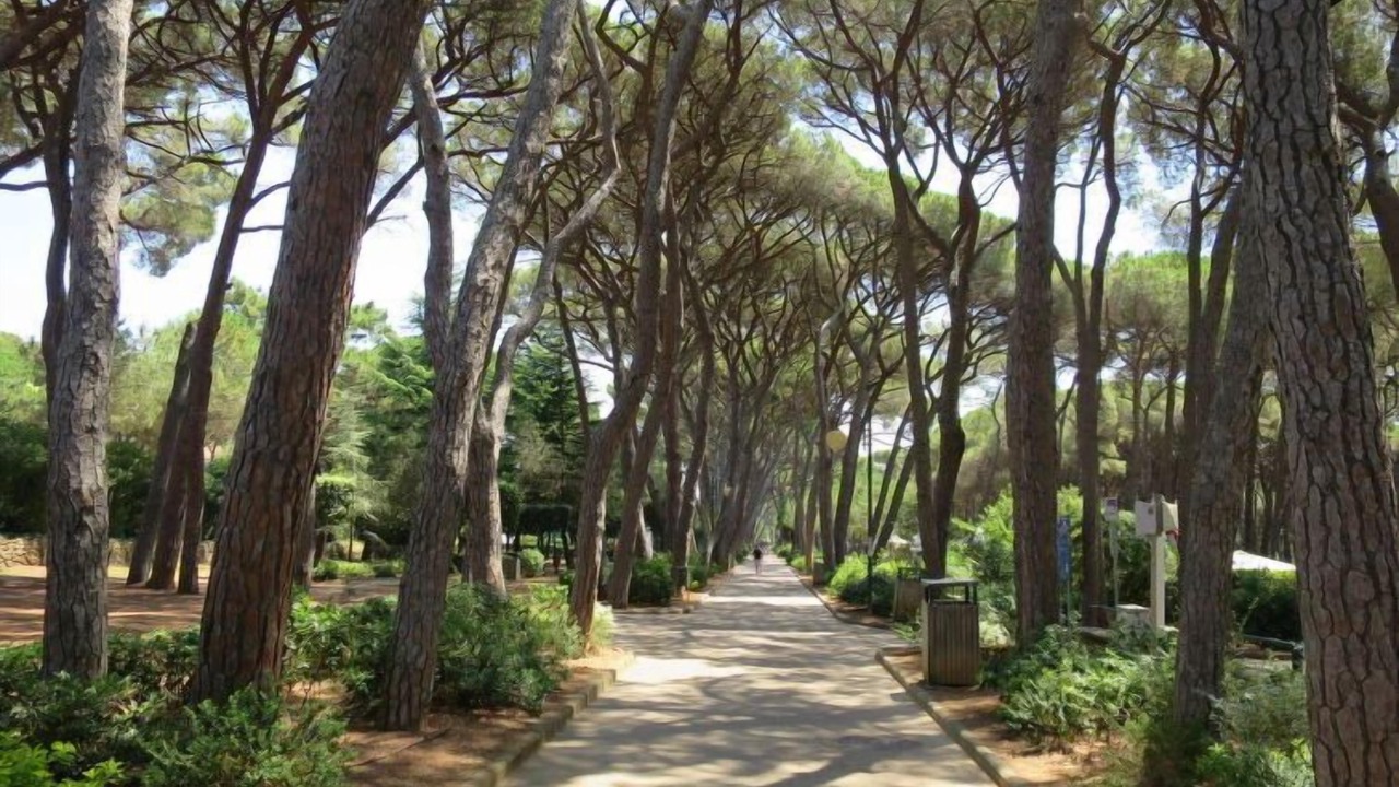 Photo of Outdoor in Rosignano Solvay