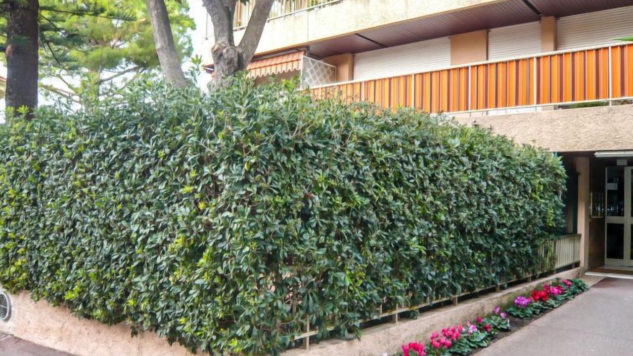 Photo of Outdoor in La Madeleine
