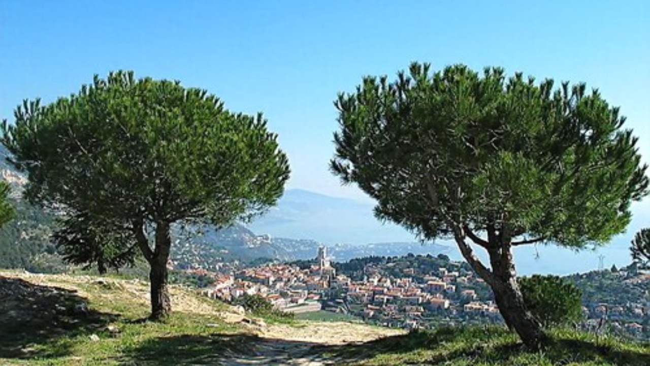 Photo of Outdoor in La Turbie
