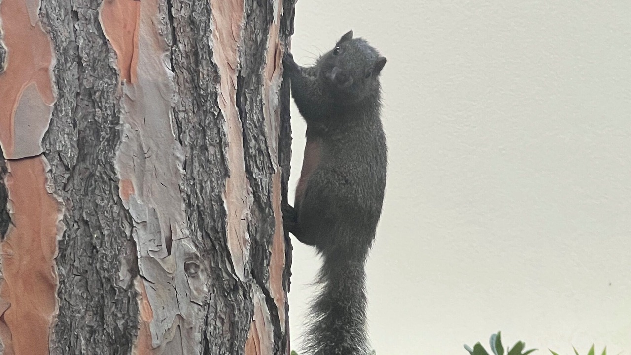 Photo of Outdoor in Antibes City Centre