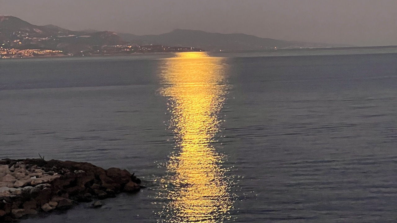 Photo of Outdoor in Antibes City Centre