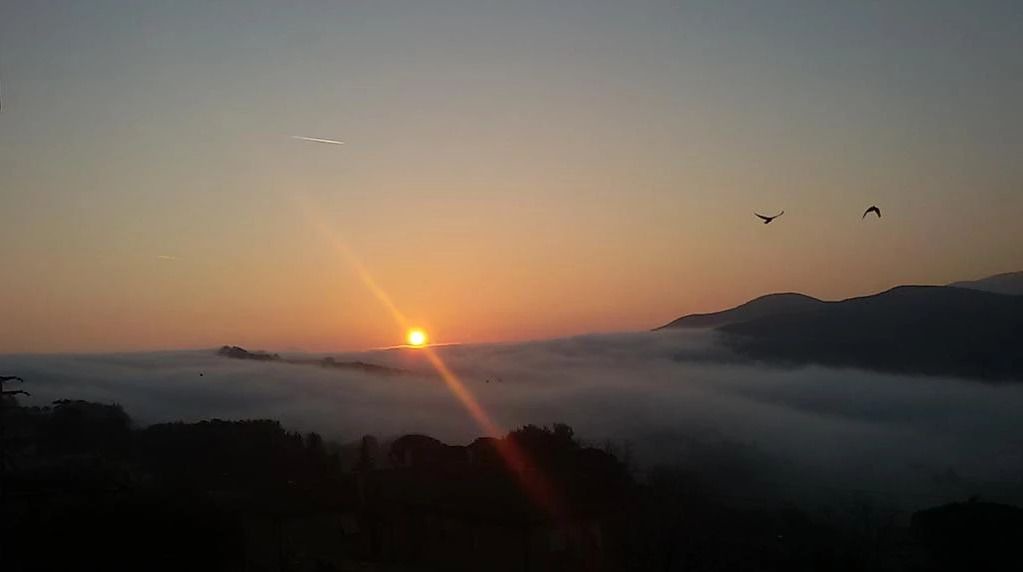 Photo of Others in Casale Marittimo