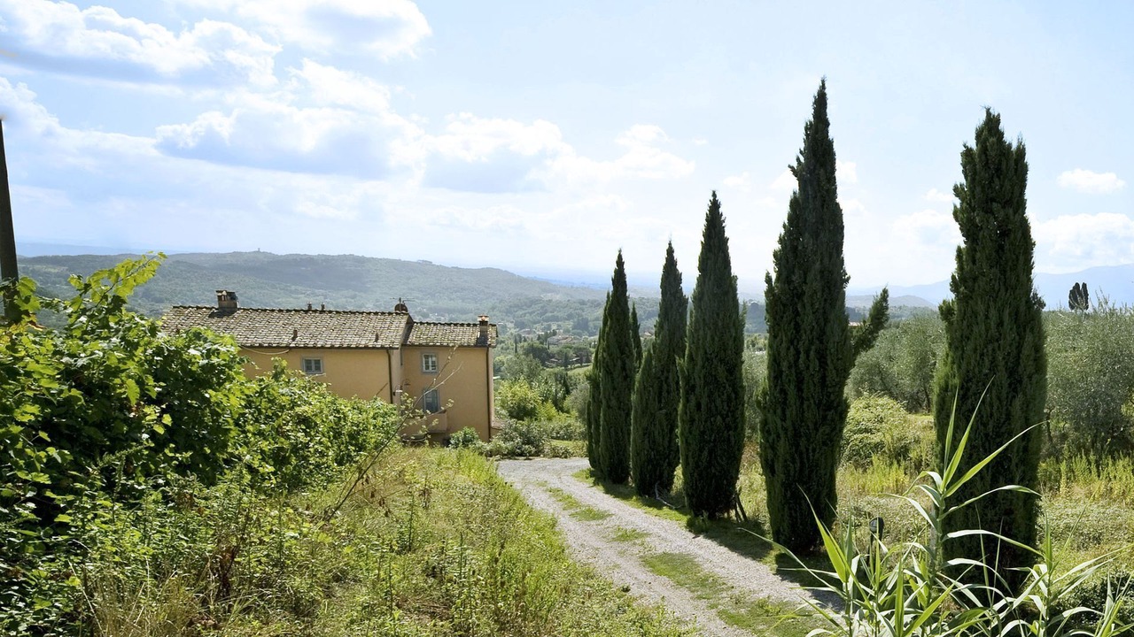 Photo of Others in Capannori