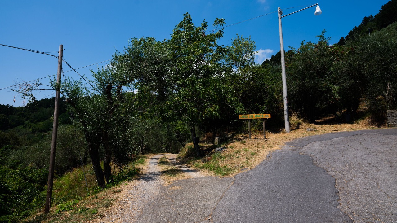 Photo of Outdoor in Petrognano