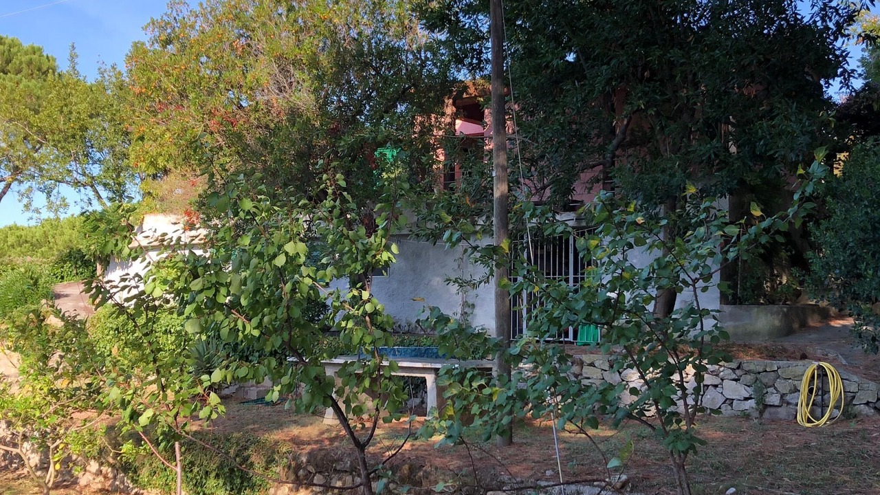 Photo of Outdoor in Sant' Andrea