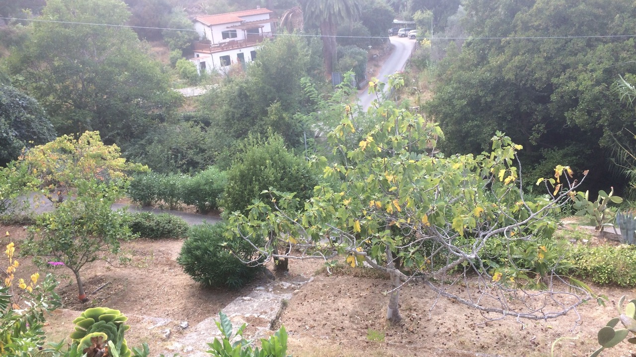 Photo of Outdoor in Sant' Andrea