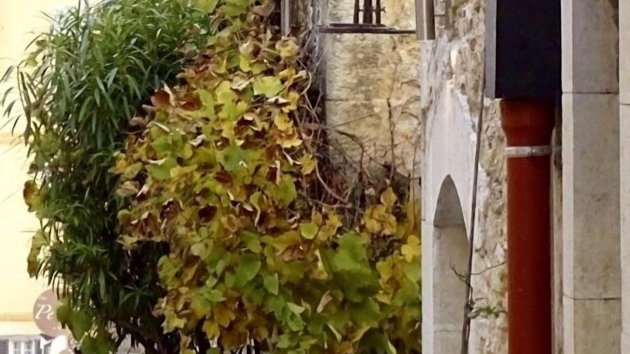 Photo of Outdoor in Valbonne