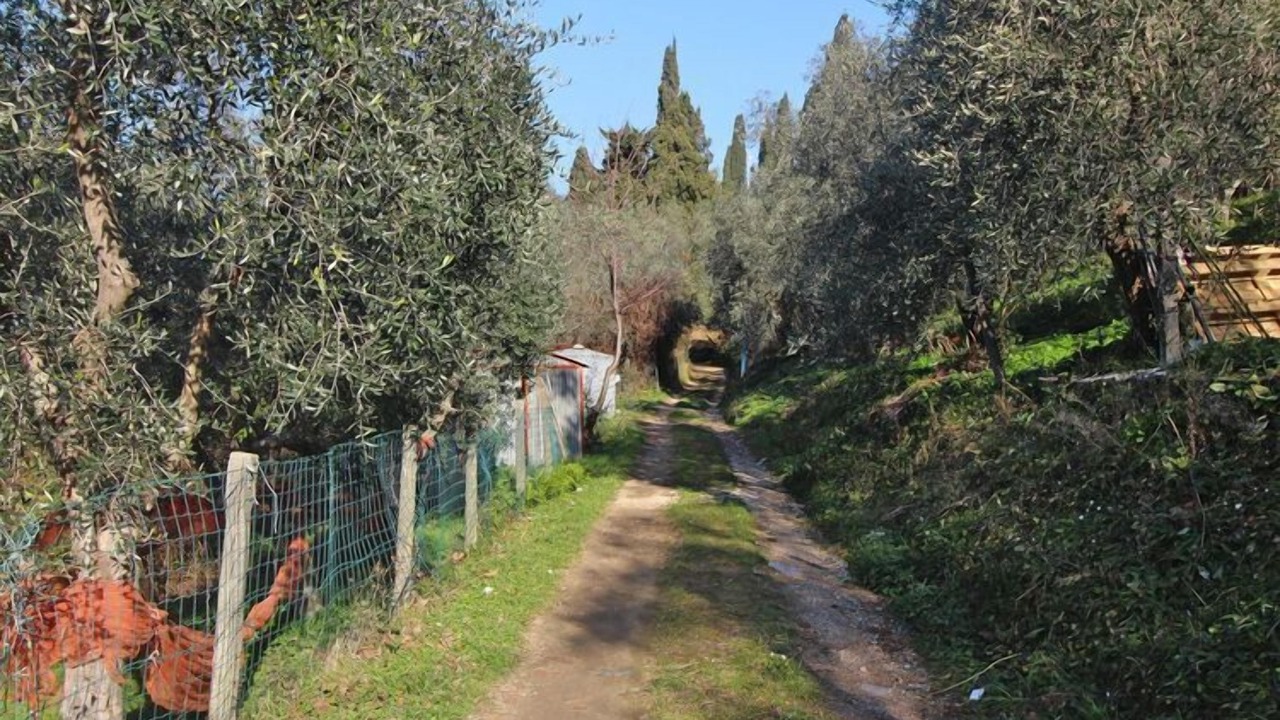 Photo of Outdoor in Monteggiori