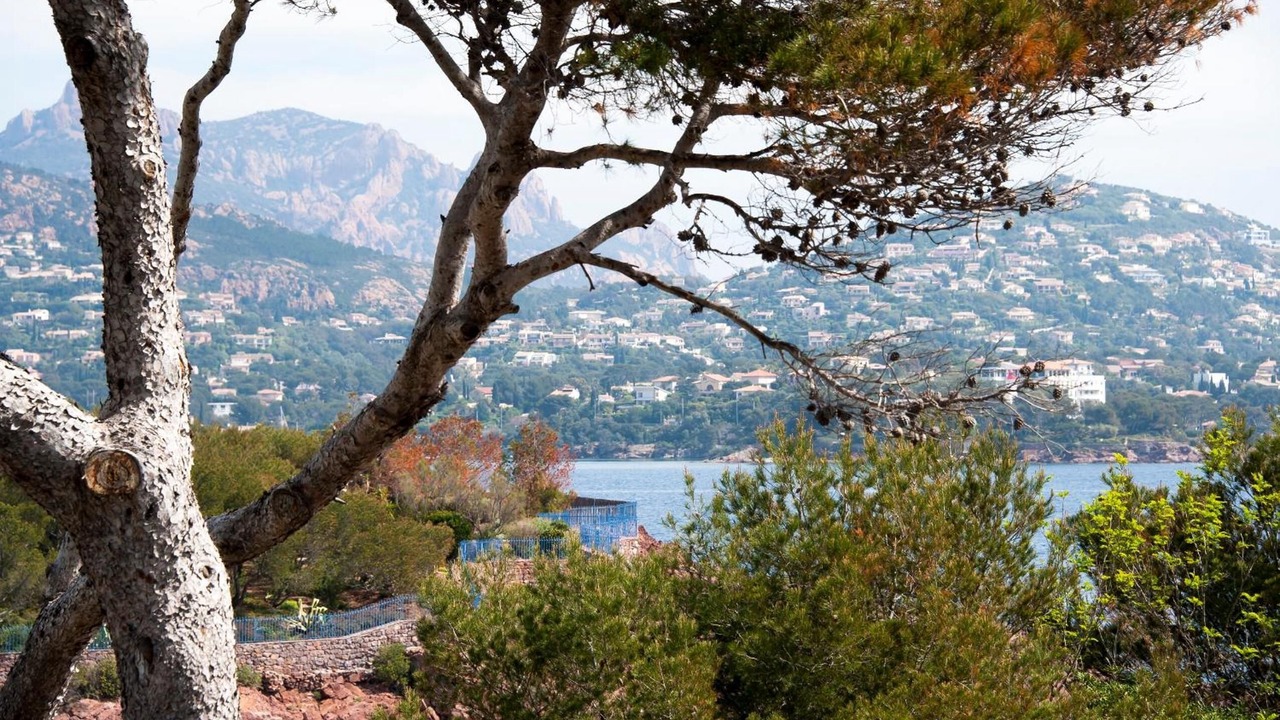 Photo of Outdoor in Valescure