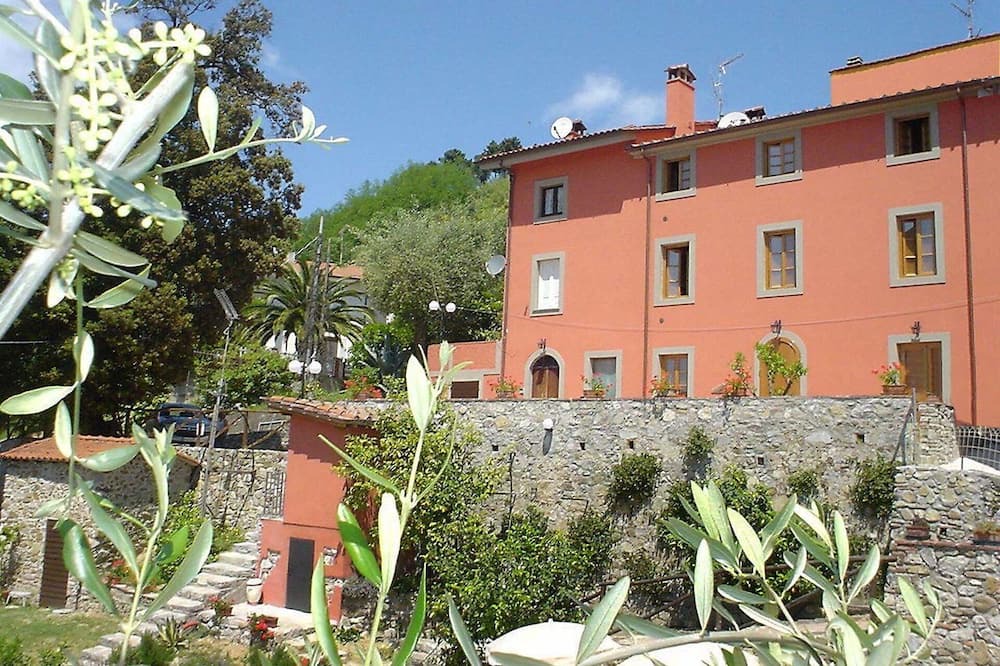 Photo of Others in Massarosa
