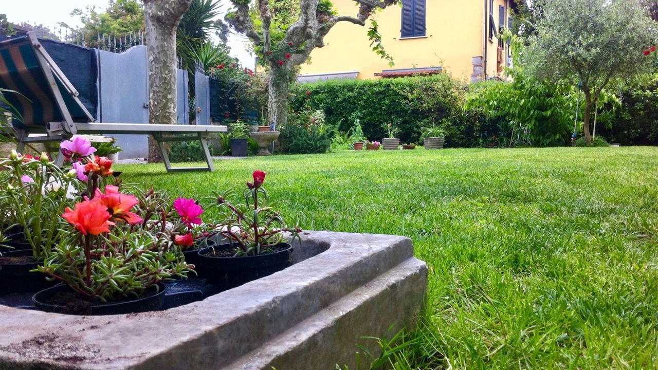 Photo of Outdoor in Marina di Massa