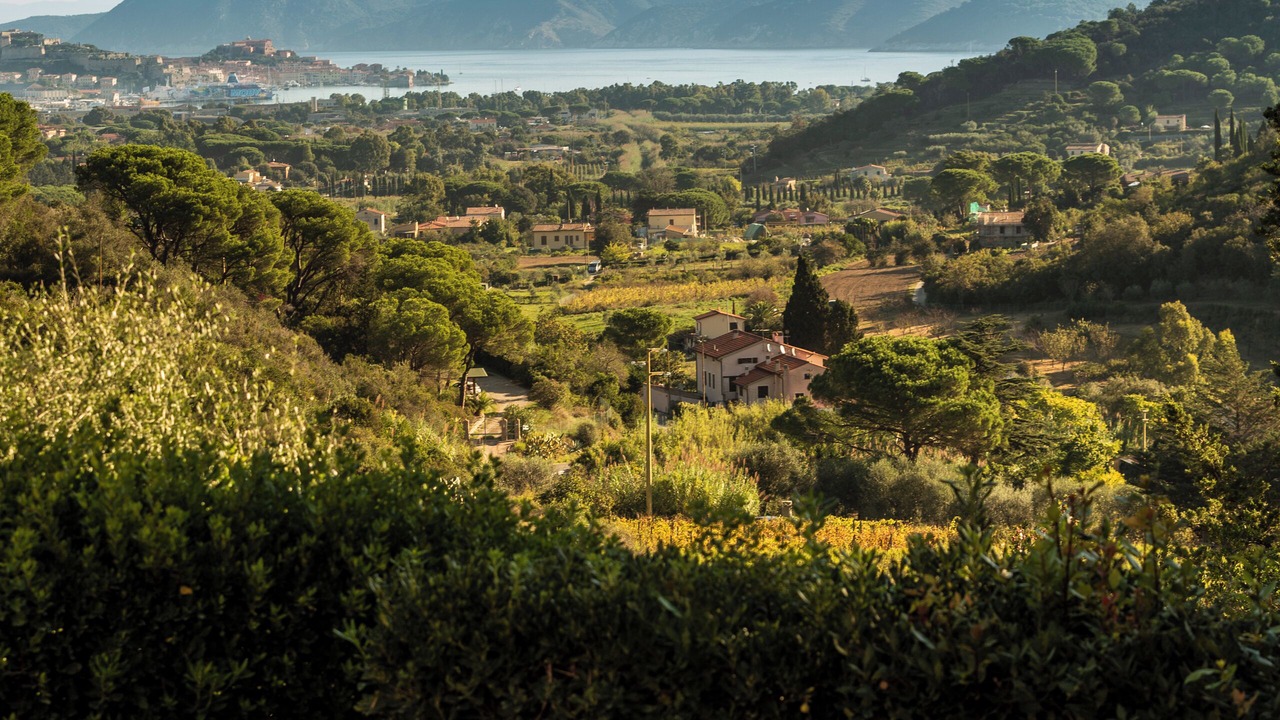 Photo of Others in Portoferraio