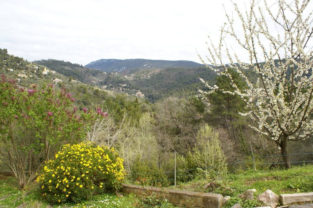 Photo of Outdoor in Saint-Blaise