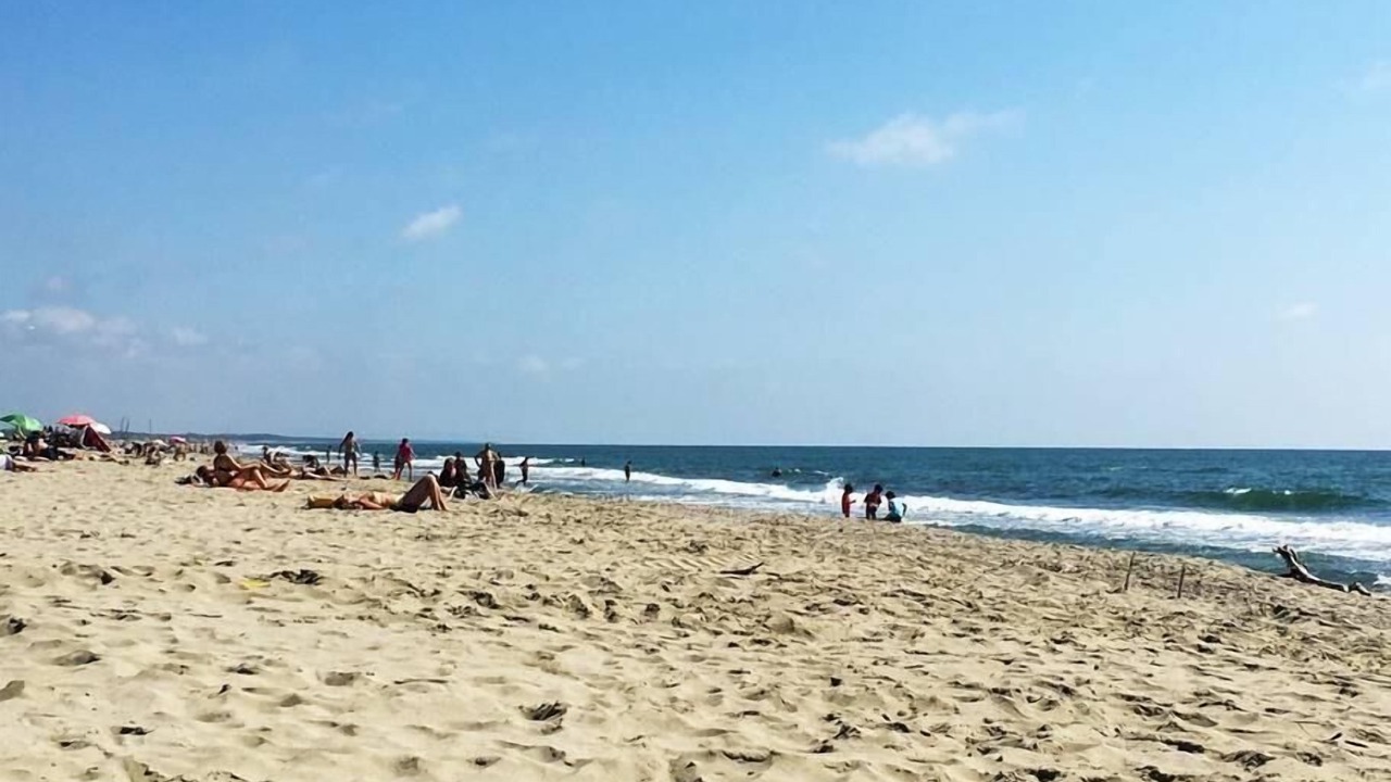 Photo of Others in Viareggio