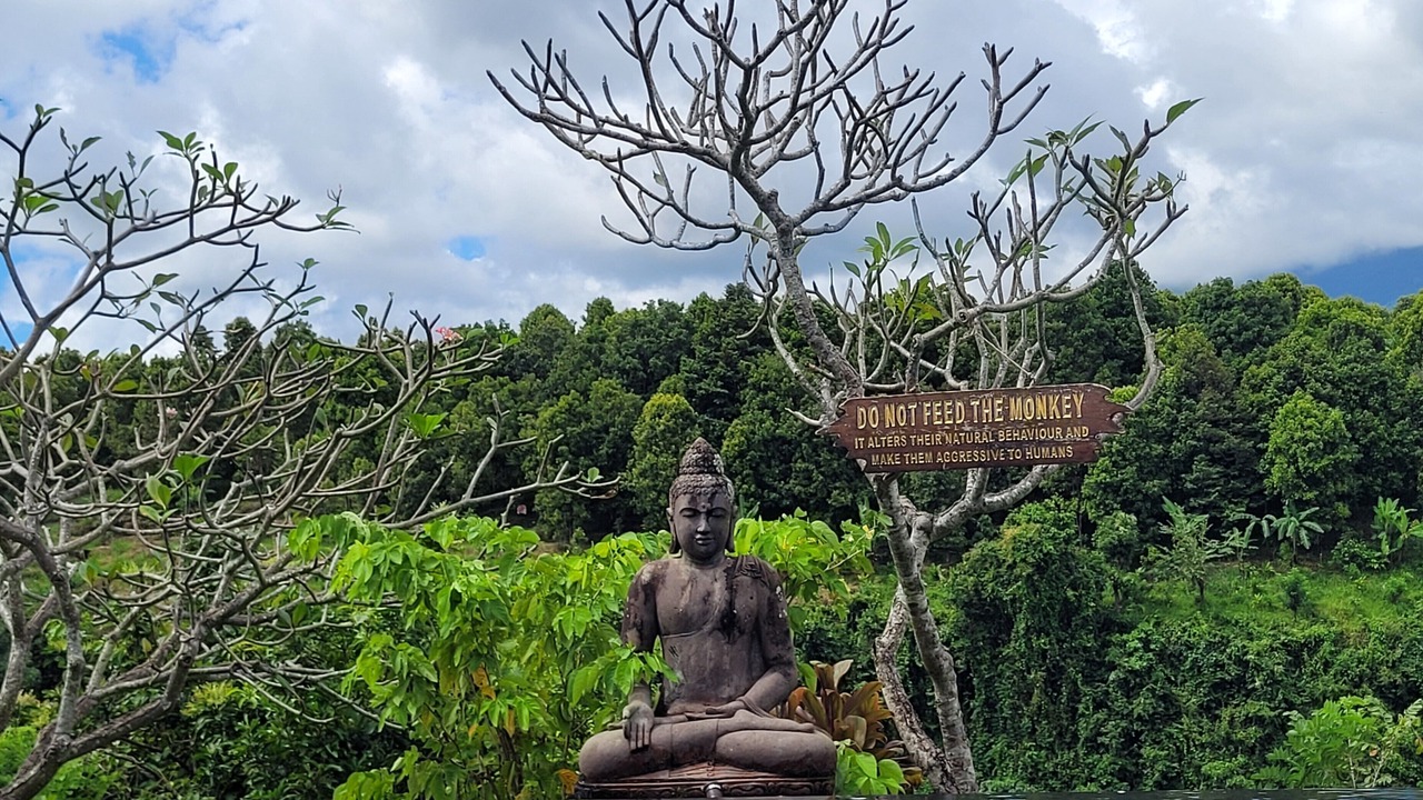 Photo of Outdoor in Sukasada