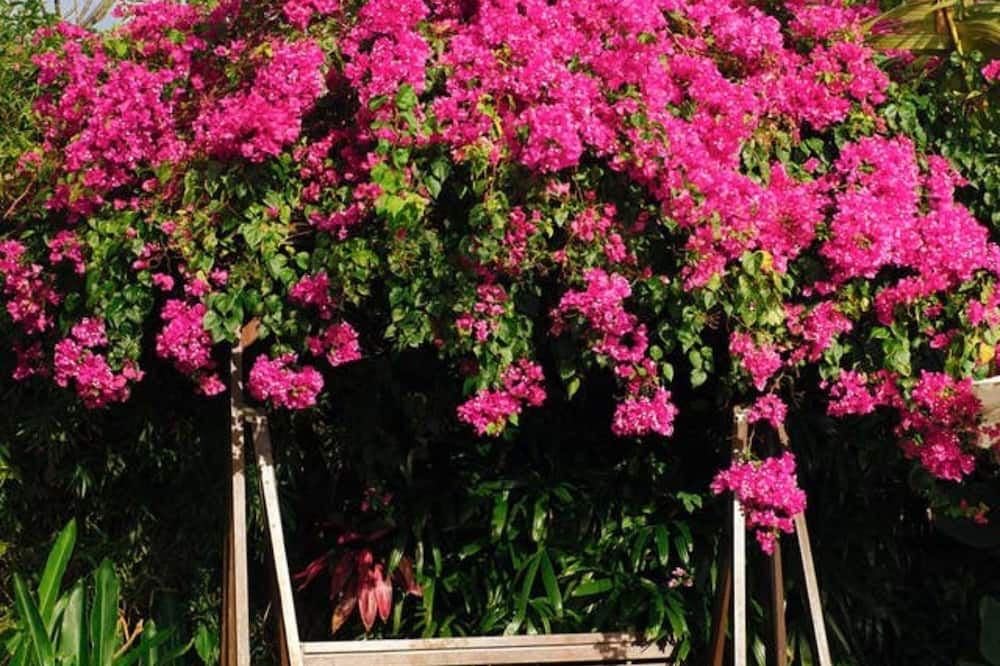 Photo of Outdoor in Pecatu
