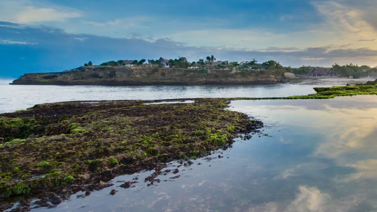 Photo of Others in Mushroom Bay