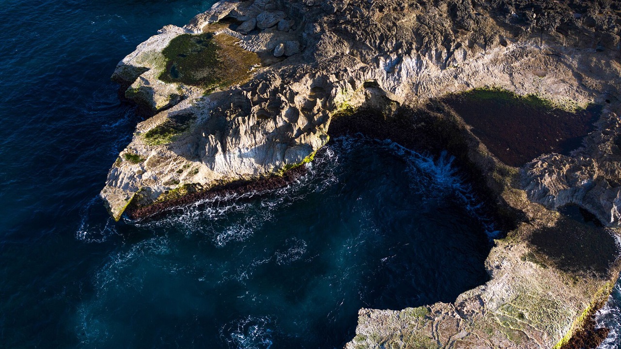 Photo of Outdoor in Mushroom Bay