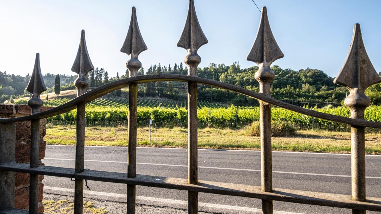 Photo of Outdoor in San Miniato