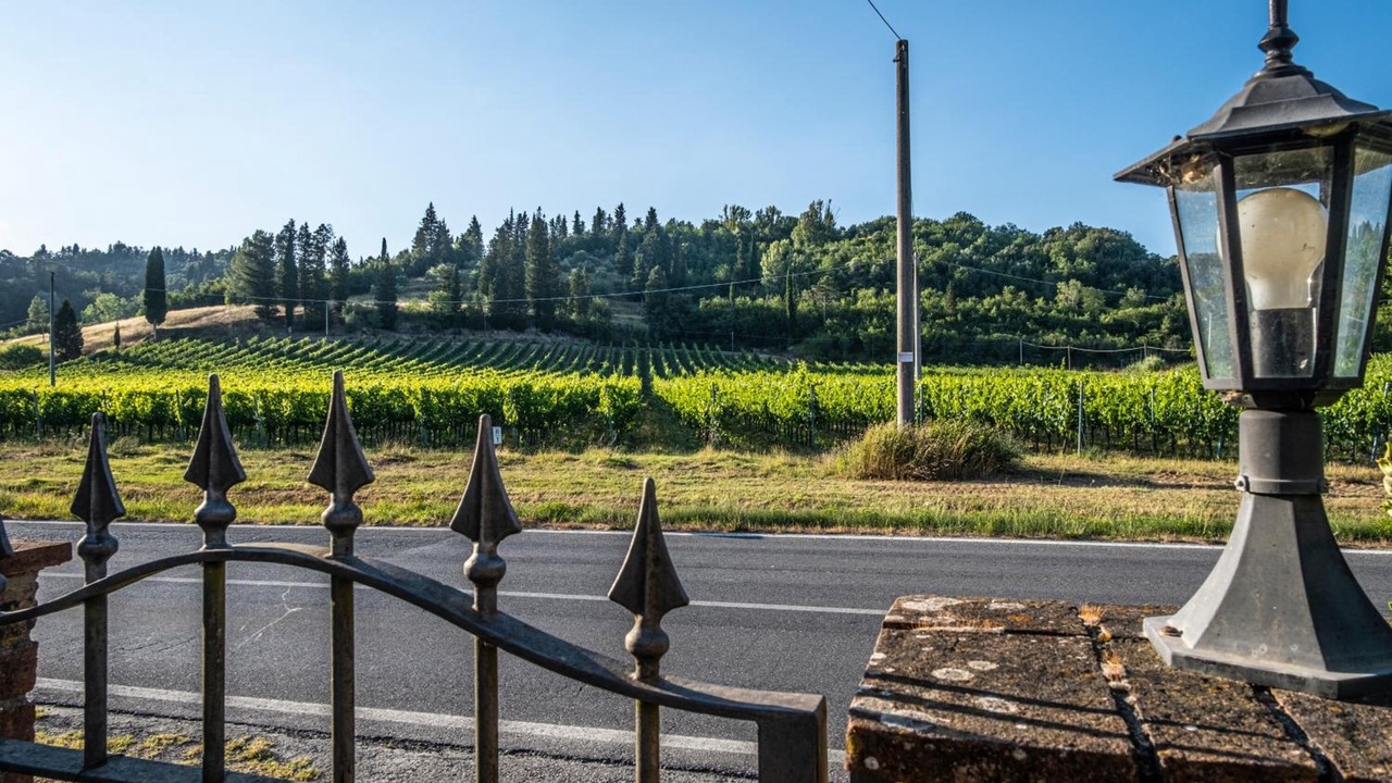 Photo of Outdoor in San Miniato