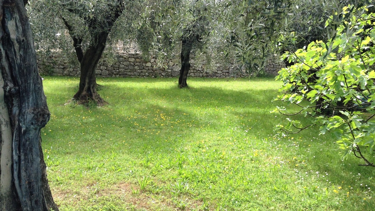 Photo of Outdoor in Saint-Jacques