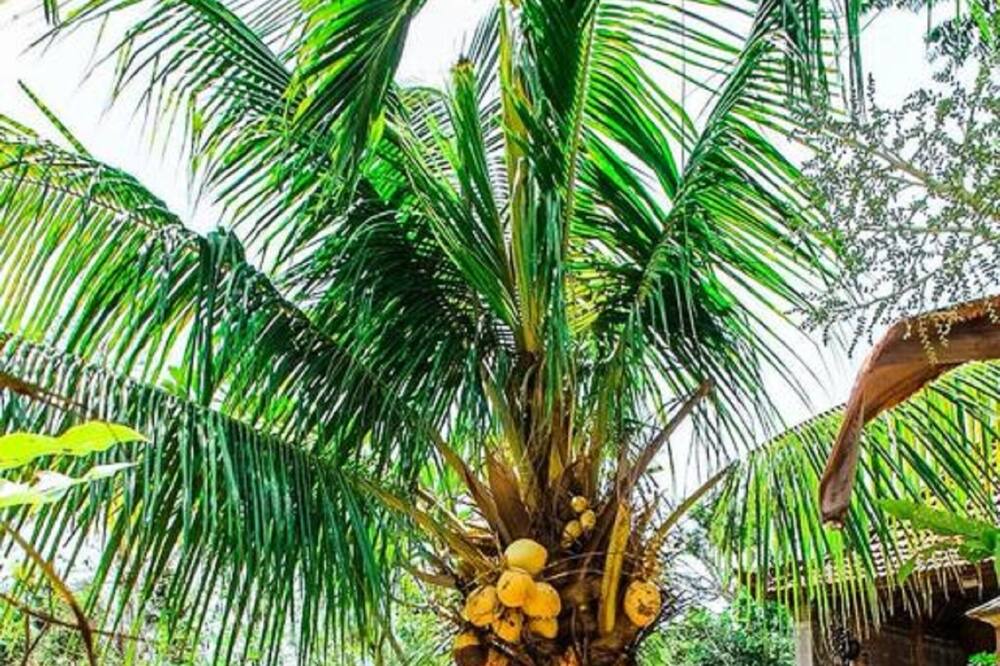 Photo of Outdoor in Sampalan