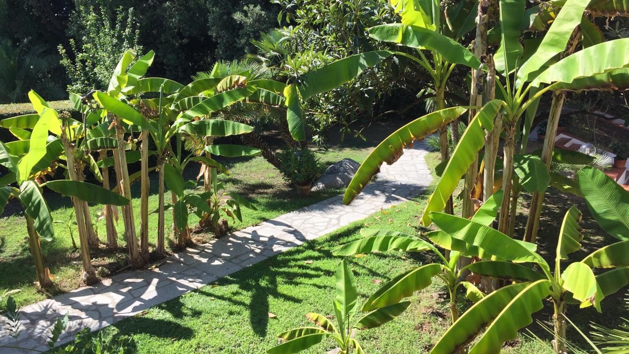 Photo of Outdoor in Campo nell'Elba