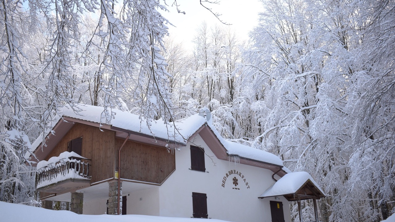 Photo of Outdoor in Castel del Piano