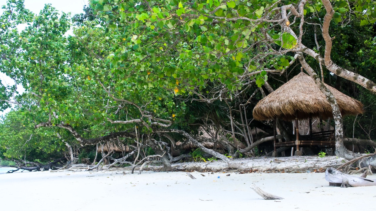 Photo of Outdoor in Peucang Island