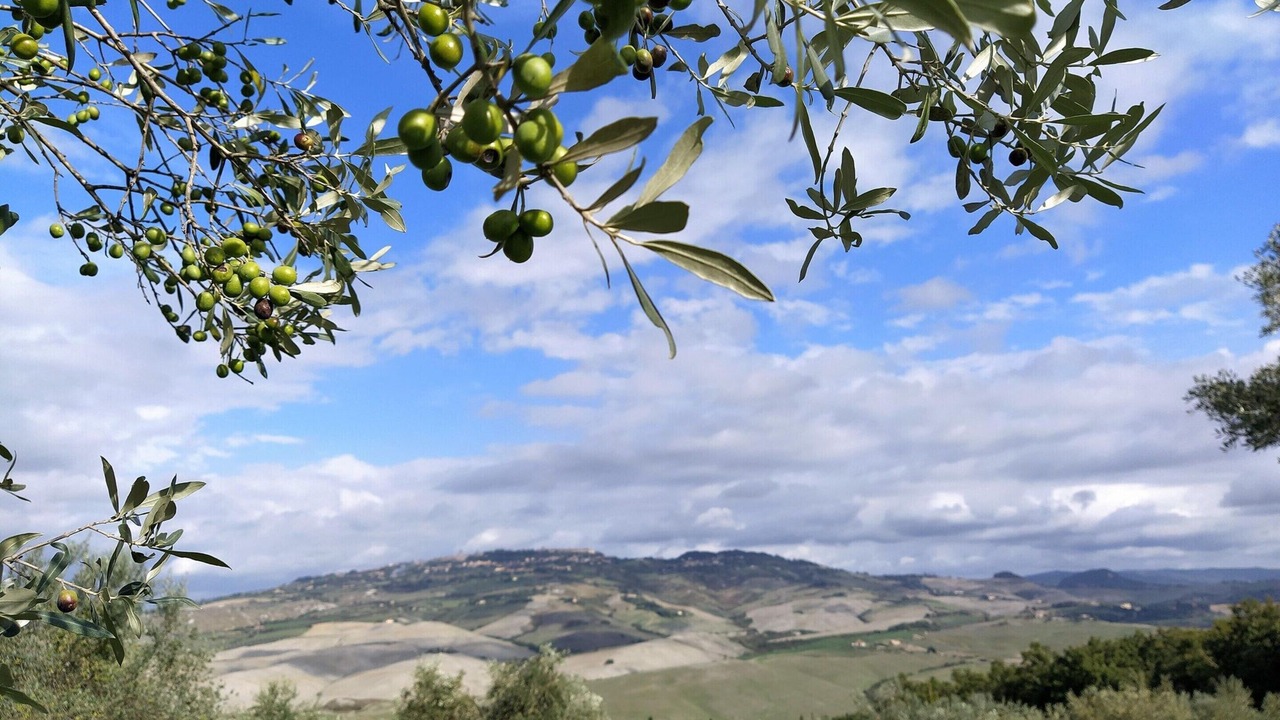 Photo of Others in Saline di Volterra