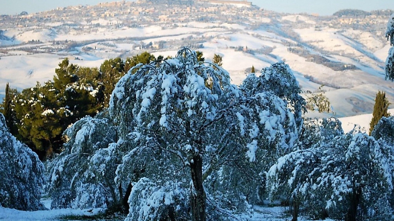 Photo of Others in Saline di Volterra