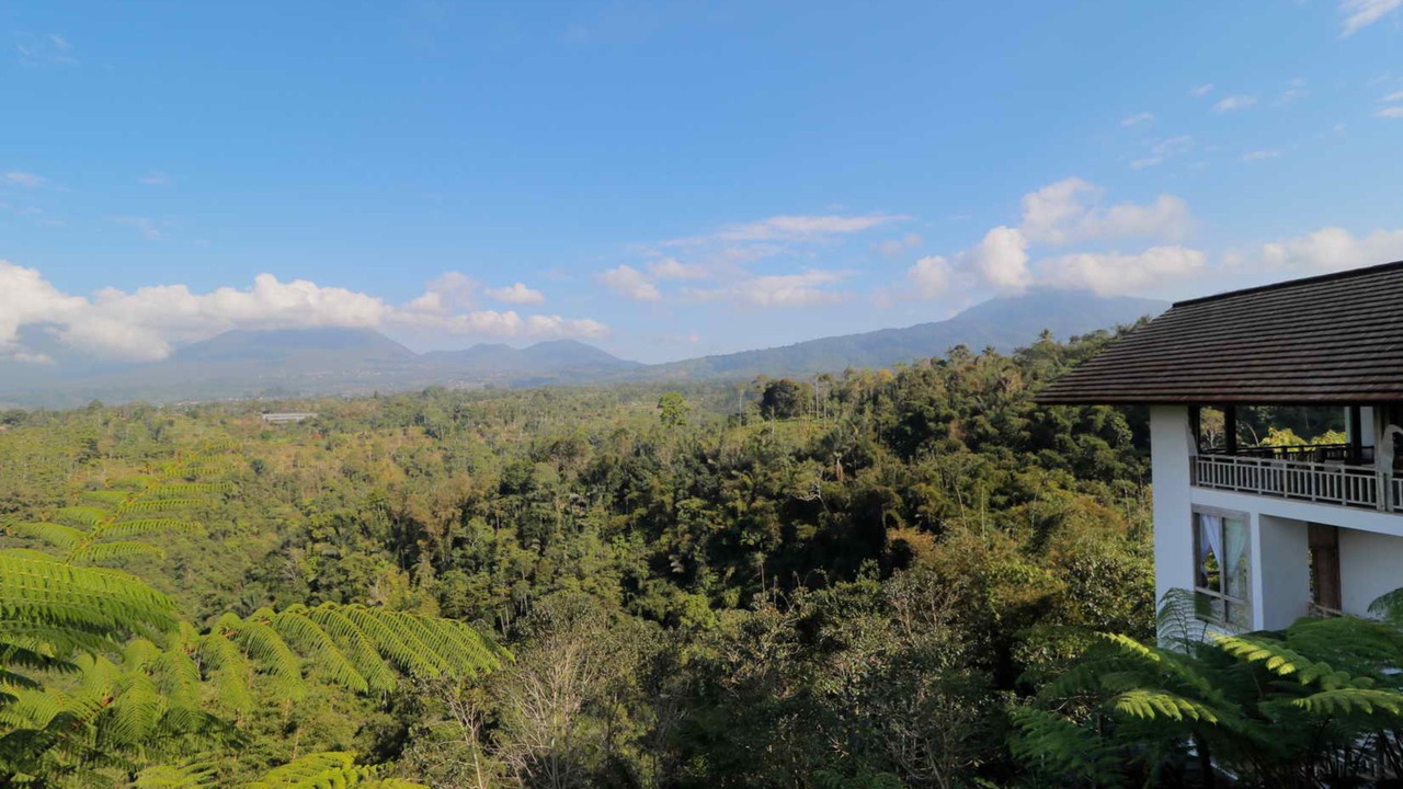 Photo of Outdoor in Pelaga