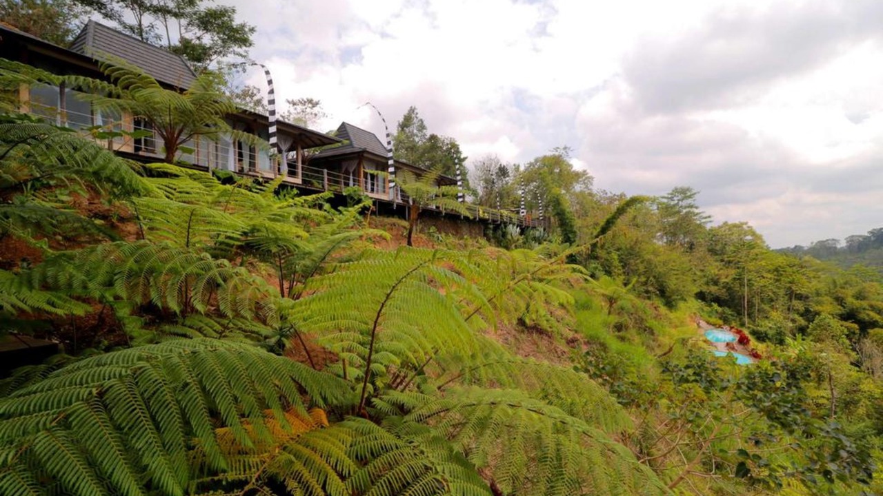 Photo of Outdoor in Pelaga