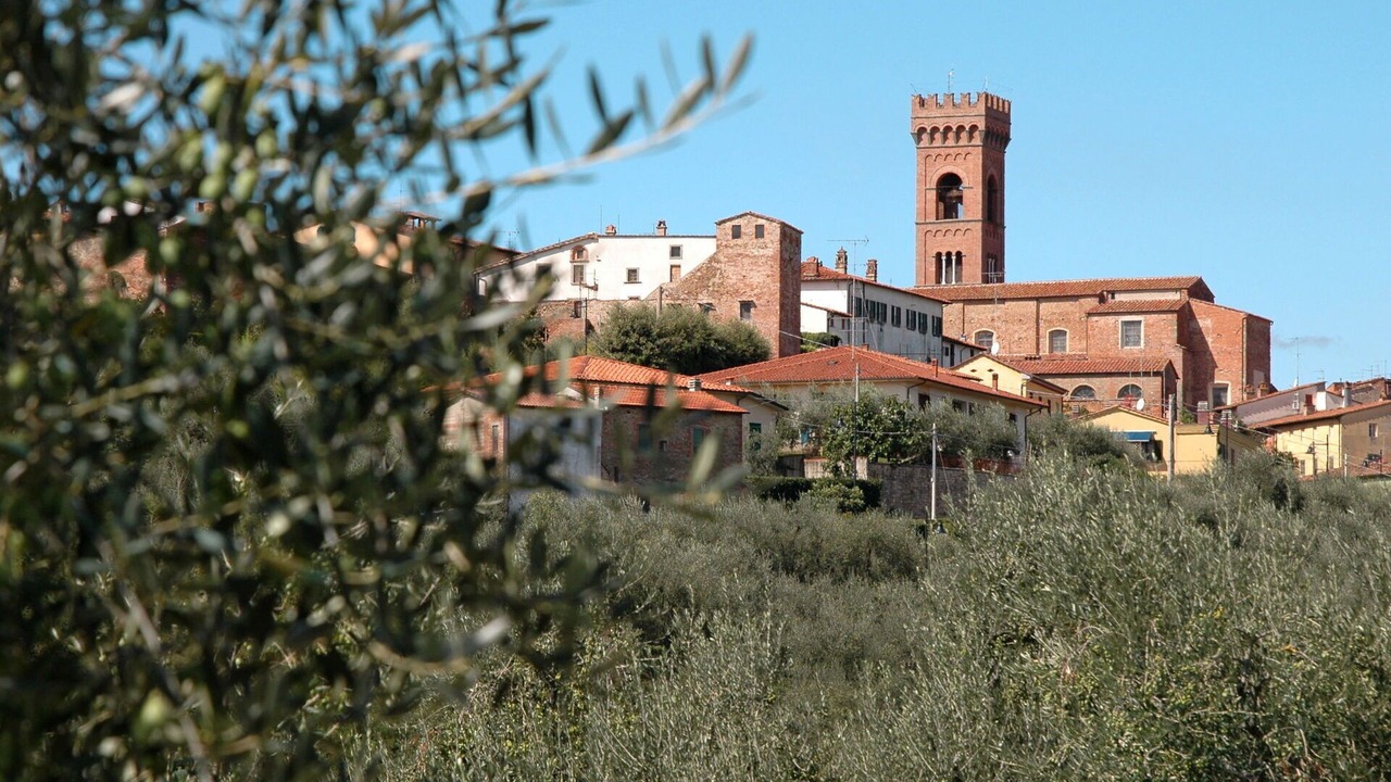 Photo of Outdoor in Montecarlo