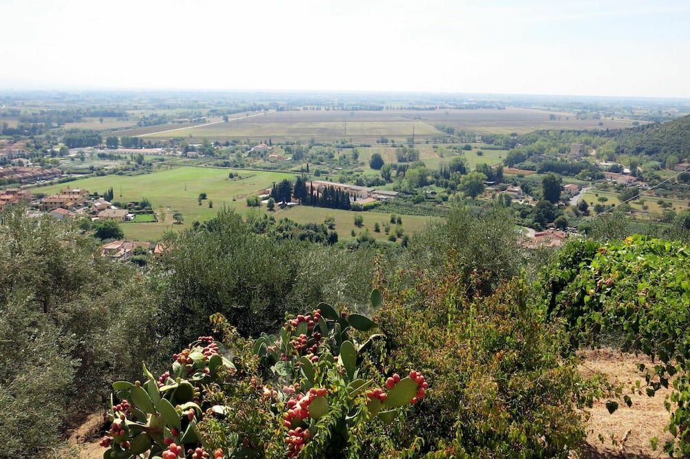 Photo of Others in Asciano Pisano