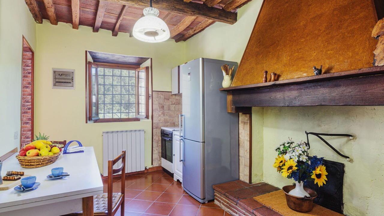 Photo of Kitchen in Vorno