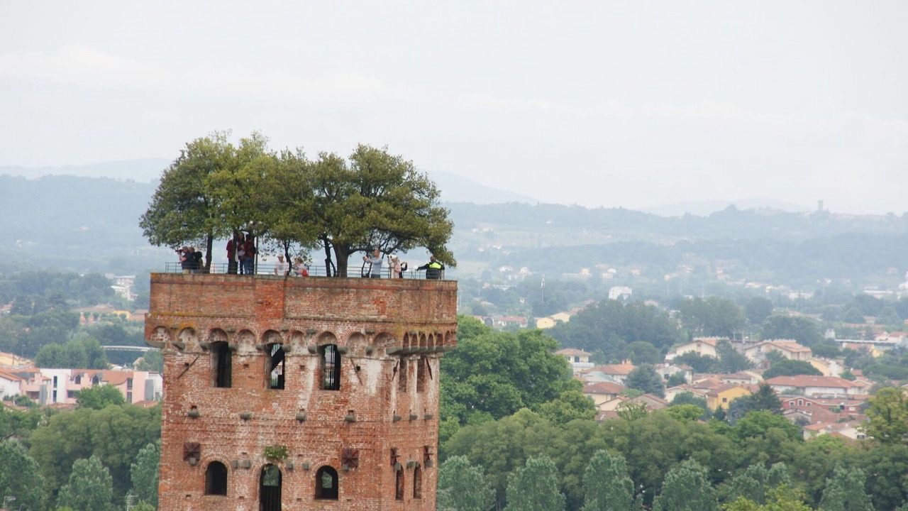 Photo of Outdoor in Vorno