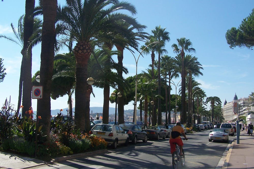 Photo of Others in Le Plan-de-Grasse