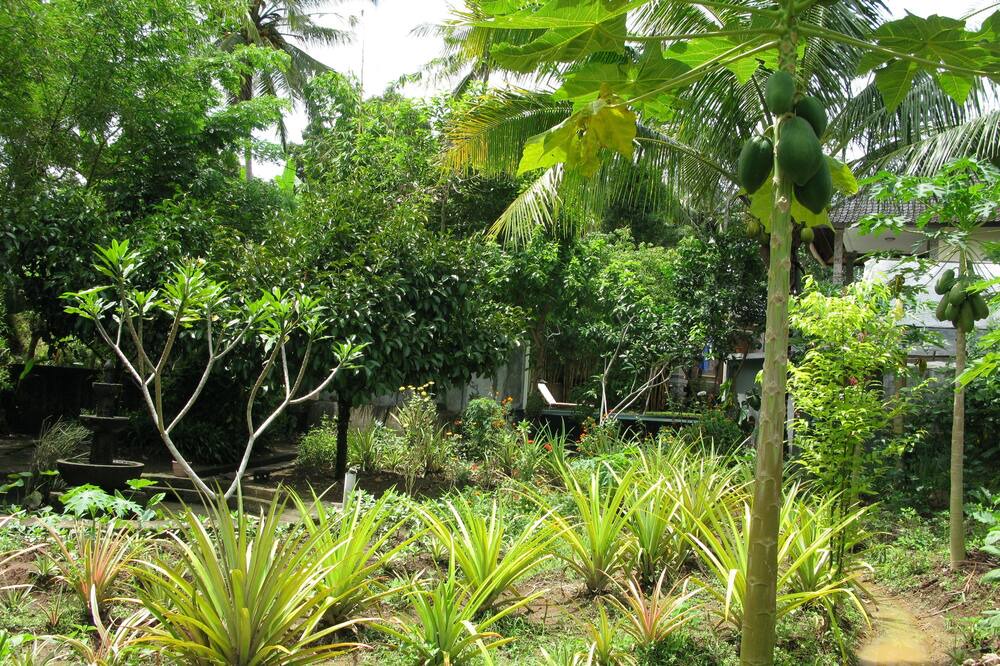 Photo of Outdoor in Melayang